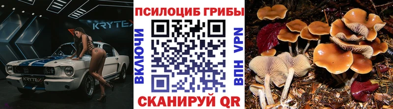 цена наркотик  Мещовск  Псилоцибиновые грибы ЛСД 